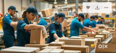 Hiring Picker/Packer 10th Pass job