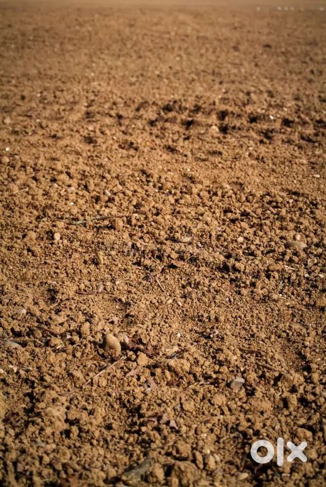 3 lakh ₹ kattha 5 kattha zameen bikri hai chhagalia belwa Kishanganj