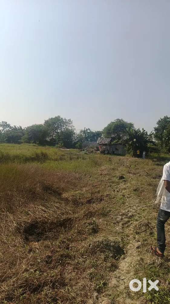 Buy Land for construction of Farmhouse & Farms near Sonarpur Piali