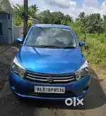 Maruthi celerio