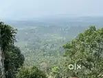 PRIME LAND NEAR NEELIMALA VIEW POINT – SUITABLE FOR VILLAS