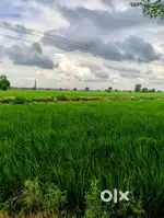 Kissi ko paint karvana ho sampark kare