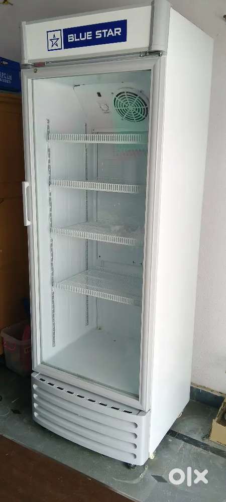 Blue Star fridge