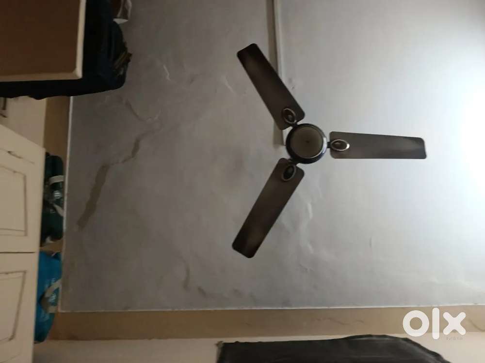 Individual house for rent