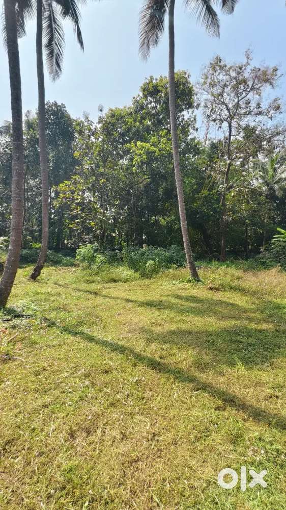 11 cent plot for sale