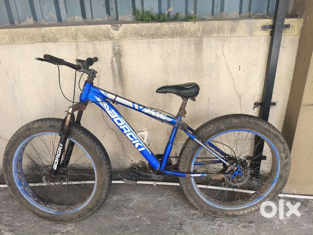 Royal Marketing Borgki