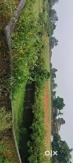 St general plot available here