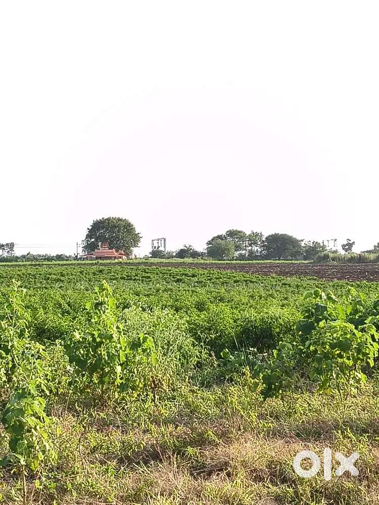 One acre agriculture land for sale near vant Hanuman Temple gadag road