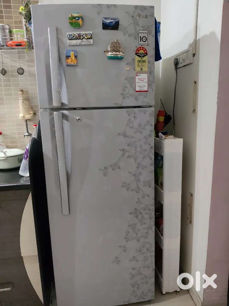 LG 310 fridge
