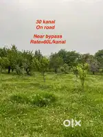 Residential plots & Orchards for sale with Apple and pear trees