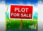 4.40 marle plot in golden avenue.lehal Dhariwal