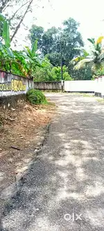 10cent plot