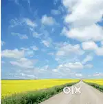 1 Acre 37 Guntas Agricultural land for sale (Thar Road approach)