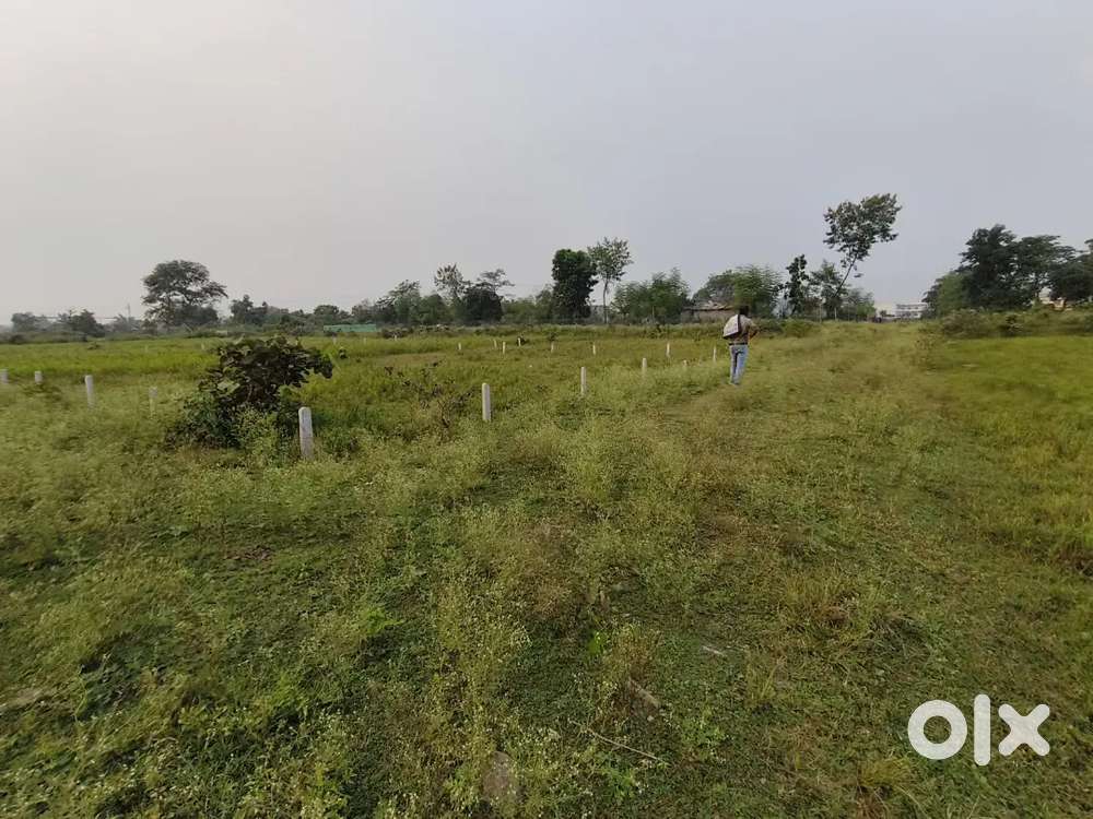 Plot For Sale in Mopka Chillhati