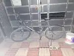 This is 7 to eight month old cycle