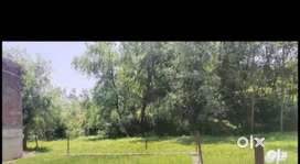 Urgent sale of Land