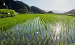 10 kanal Aawi land for sale at genuine price