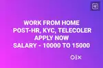 WORK FROM HOME (BANKING AND FINANCE)