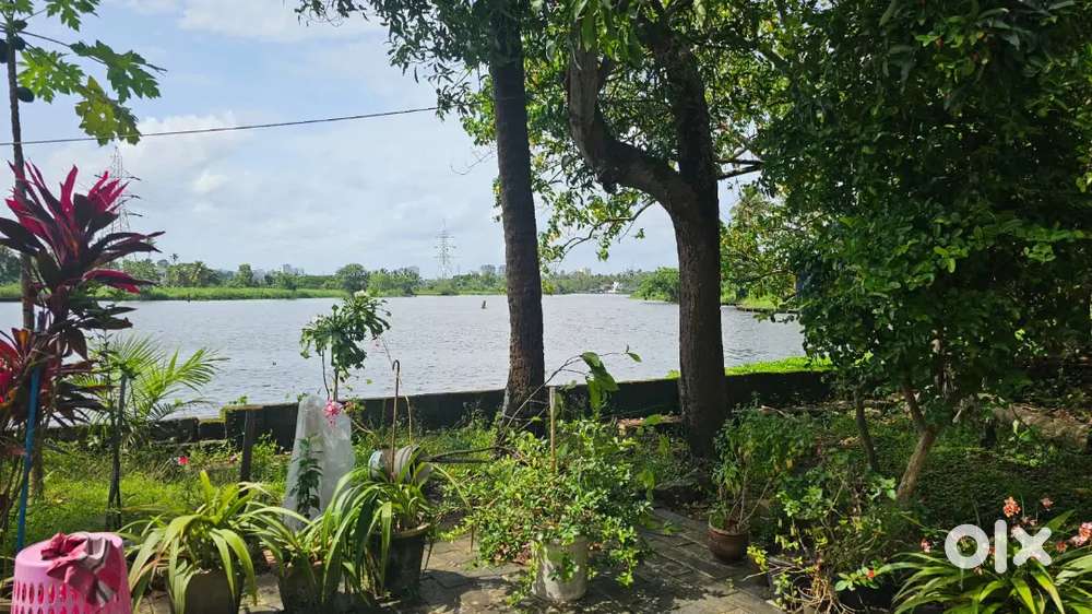 Waterfront land for sale near vennala