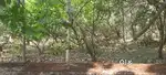 Residential Plot for Sale in Matapadi, Udupi – 650.95 Sq.m