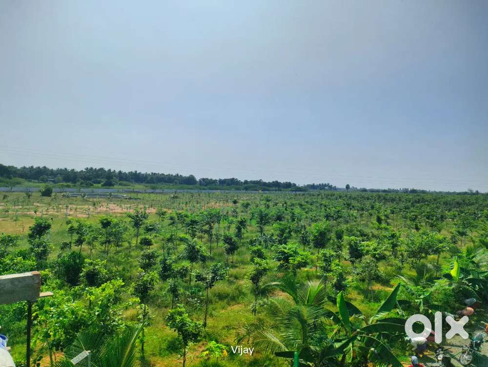 Farm land for sales