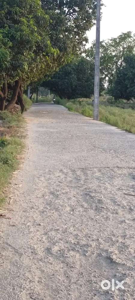 हाइवे पर 2 बीघा जमीन  बिकाऊ है