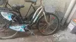 Lady Bird Bicycle