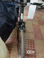 1year old cycle