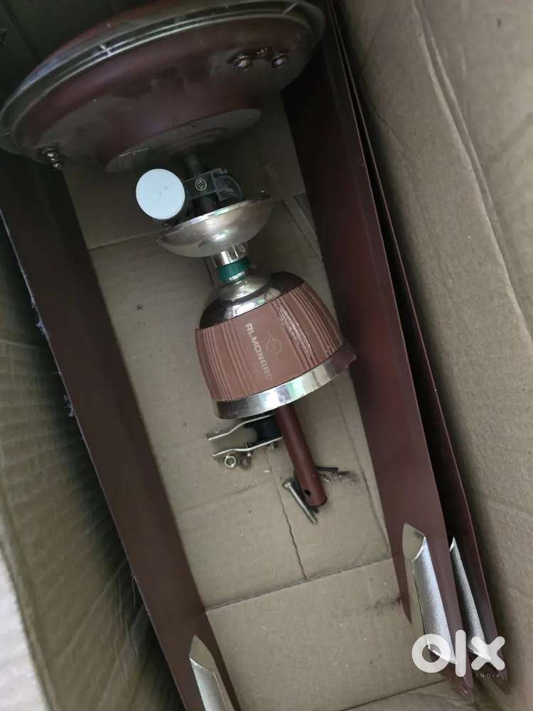 Ceiling Fans