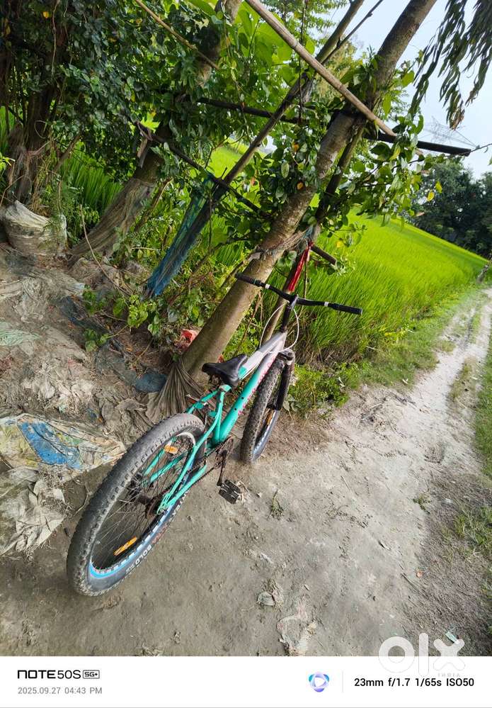 cycle non gear