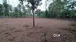 50 cent square plot for sale in Chelakkara