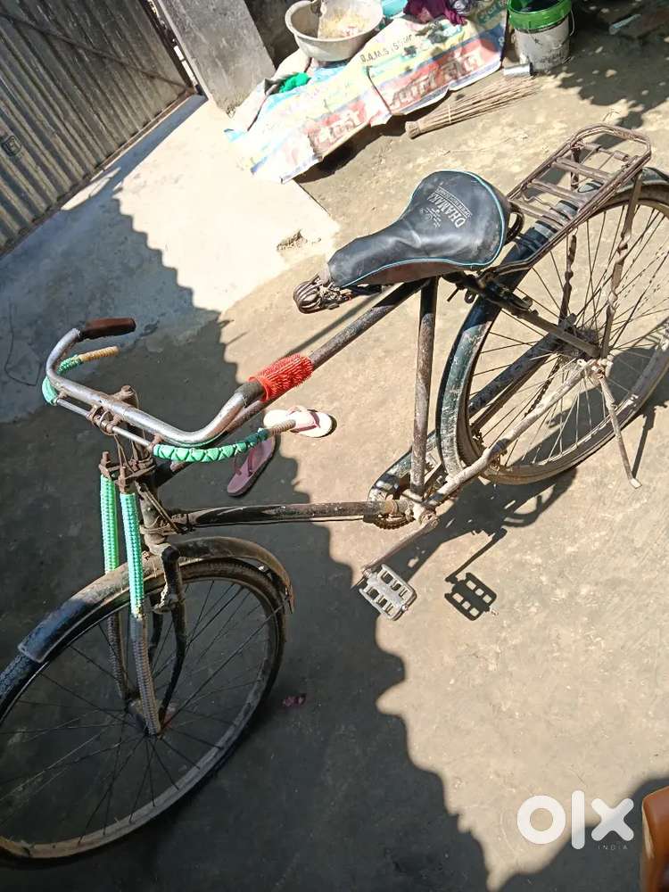 24 inche cycle