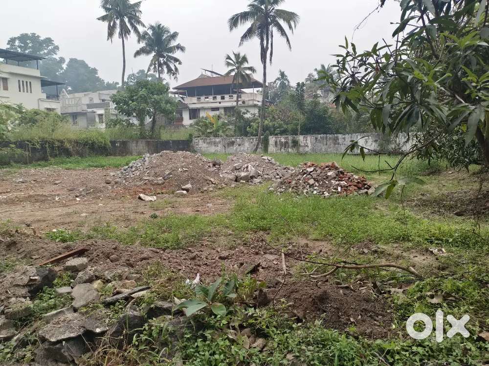 Kakkanad NGO Quotes 15 cent plot for sale 3 km from Infopark