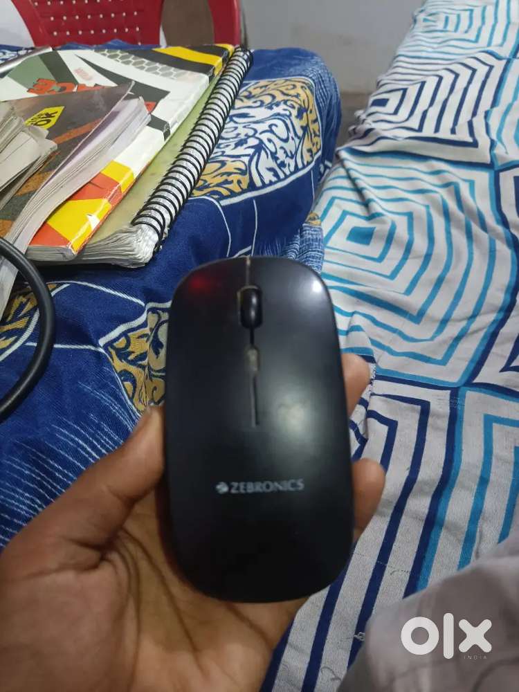 Zebronics Mouse