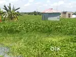 I want to sell my 2 kattha plot near Subhash gram