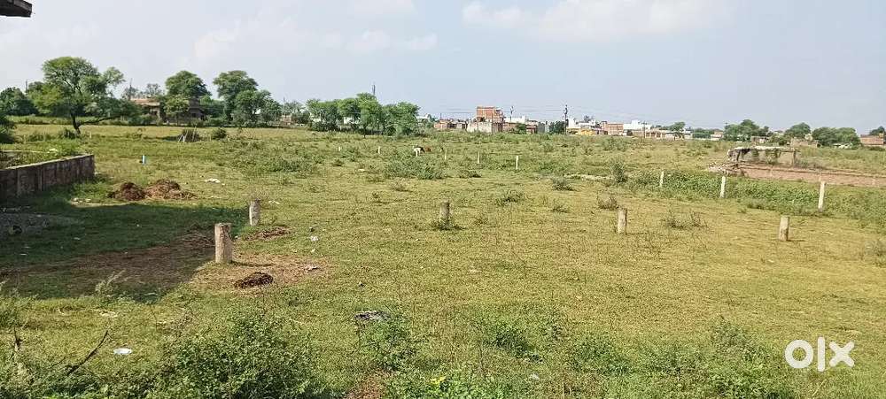 I want sale my plot