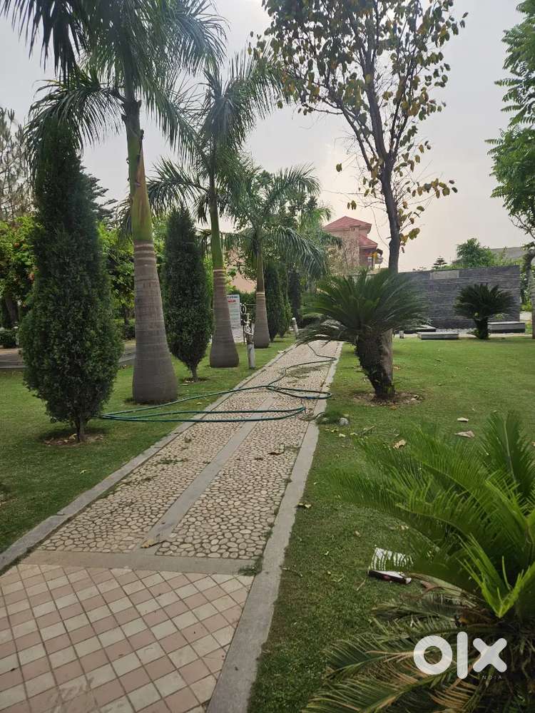 550 Sqyards Plot For Sale in Omaxe Phase 1 New Chandigarh