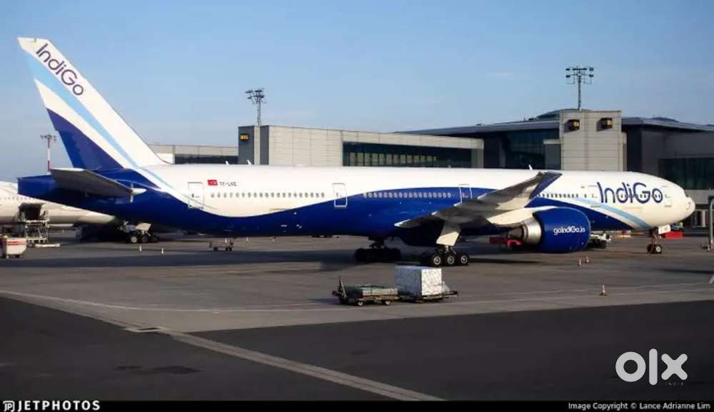 Indigo Airlines jobs /Vacancy for Airport Ground staf / Driver / Crew