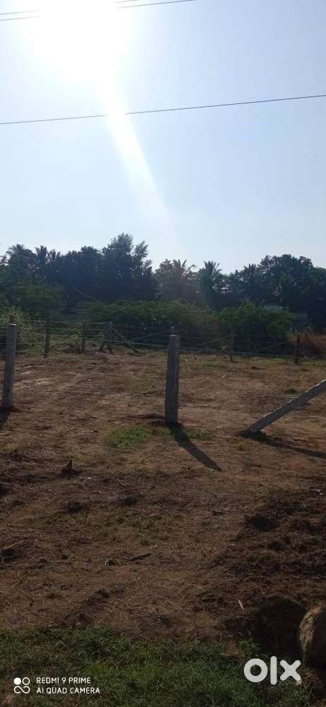 DTCP Approved 2400 sq ft near Indian Public School Punnam Chathiram