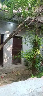 Govind nagar near by New brilliant convent school