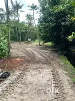 80. Land for sale  Peru Alam. Shertalli.l Taluk