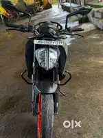 Duke for sale