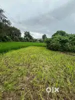 7 Acres - Agriculture Land ( At Dharampur -Valsad)