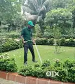 Gardener for garden maintenance