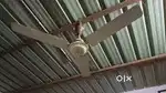 USHA Ciling Fan