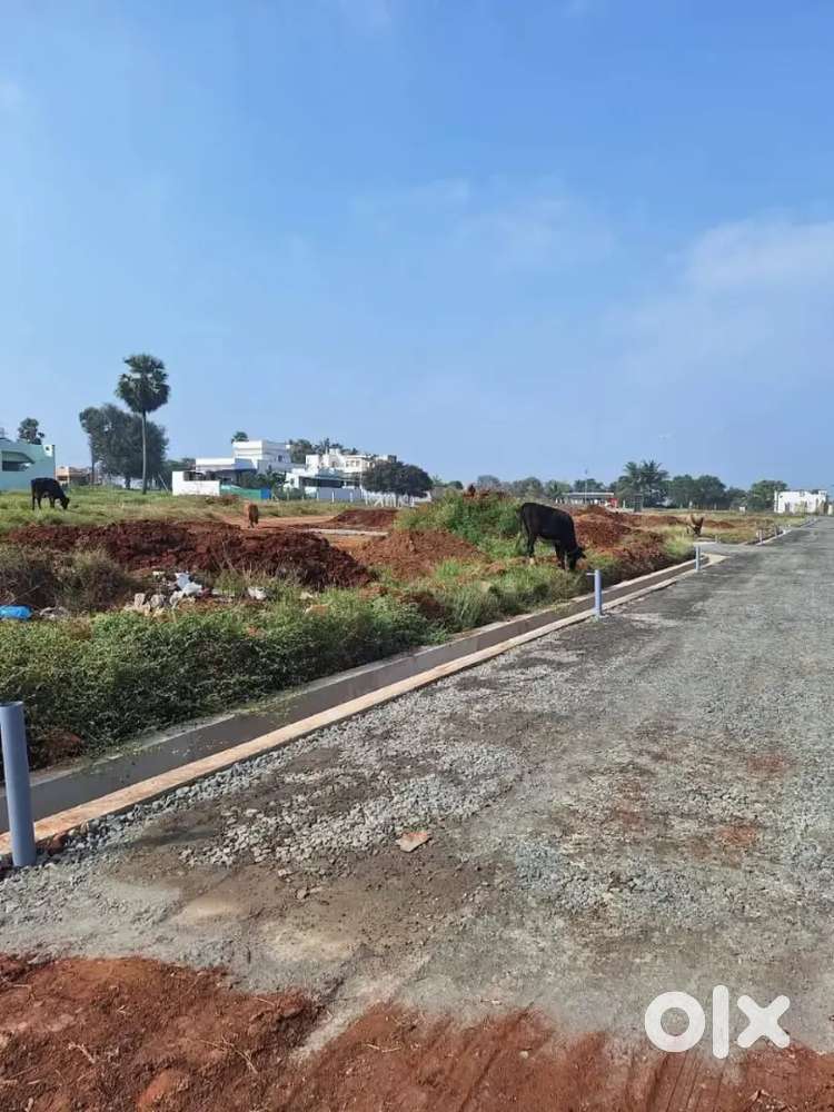 Dtcp plots sale in othakalmandapam coimbatore