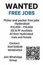 Packing picking scanning jobs