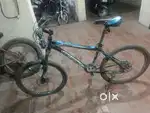 2 year old