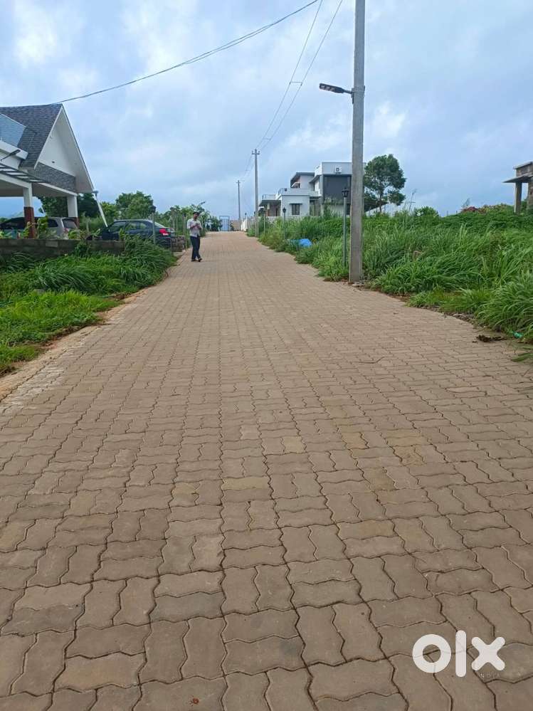 9 Cent House plot for Sale in Elappully, Palakkad