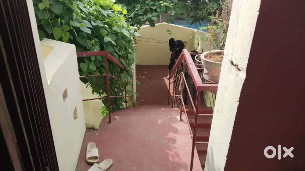 House in kusum vihar phase 2